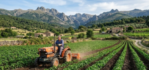 paisaje agr&iacute;cola de La Vera con minitractor trabajando en campo